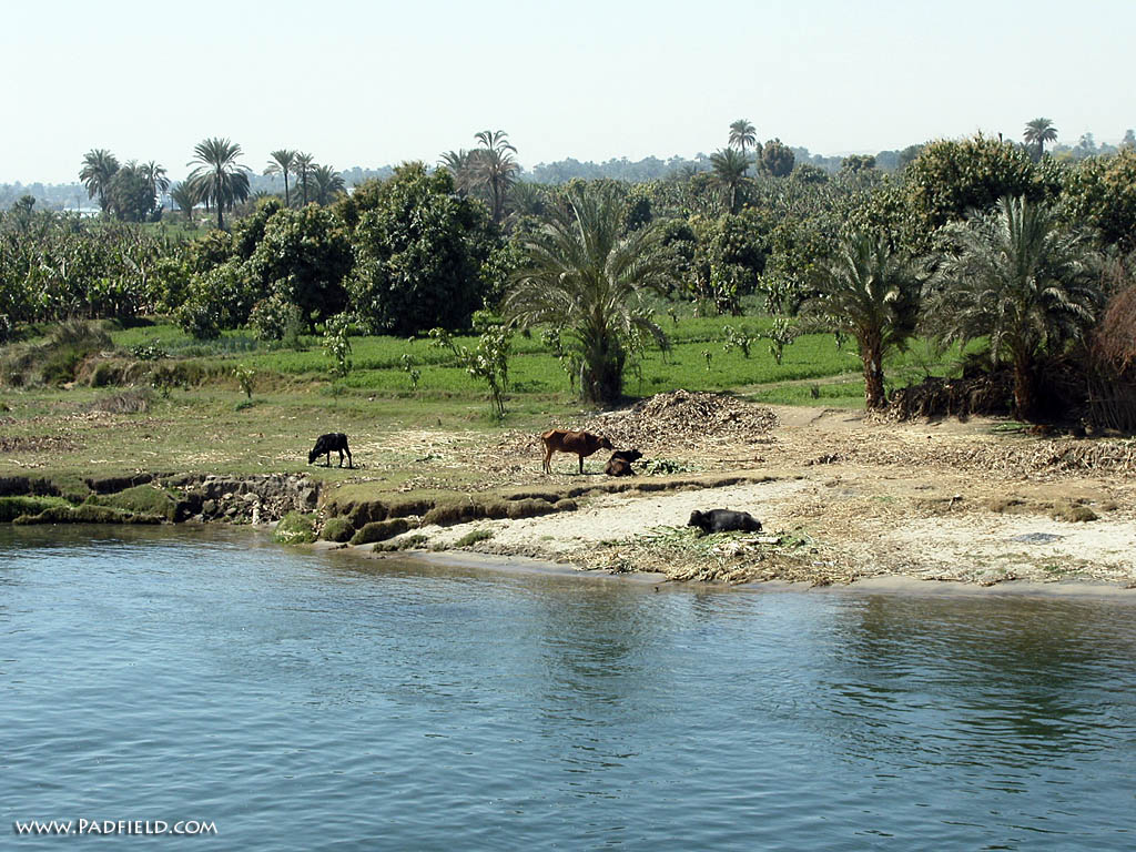 Nile River, Egypt Photographs  Moses, Joseph  Free for use in 