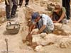 archaeologist-at-work