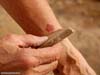 potsherd-tell-mazar-2