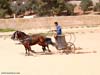 chariot-race-04