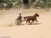 chariot-race-05