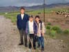 ararat-sheep-06