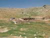 sheepfold-04