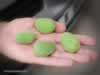 almonds-in-turkey
