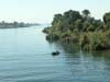 nile-river-05