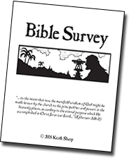 Bible Survey 