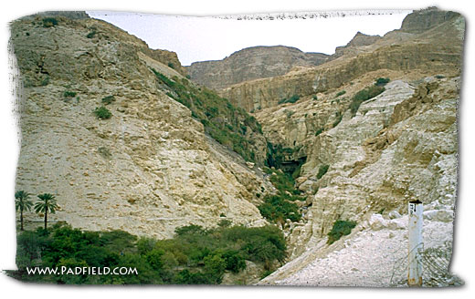 En Gedi, Israel on Dead Sea