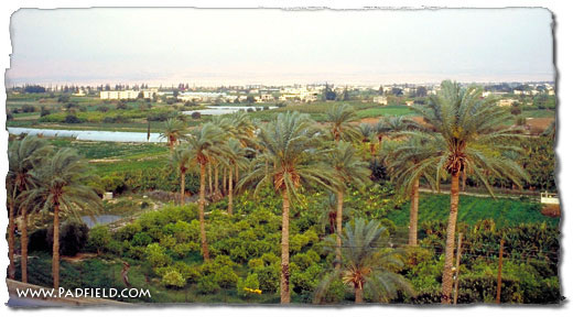 Jericho, Israel
