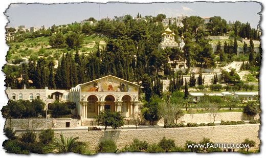 Mount of Olives, Jerusalem