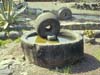 olive-press-capernaum