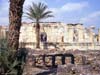 synagogue-at-capernaum-04