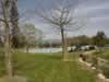 ein-harod-gideon's-fountain-swimming-pool