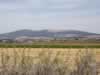 jezreel-valley-and-hill-of-moreh