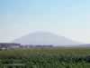 mount-tabor-04