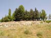 pisidian-antioch-02