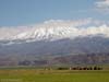 ararat-01