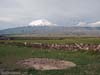 ararat-03