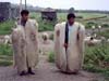 shepherds