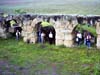 bathhouse-6